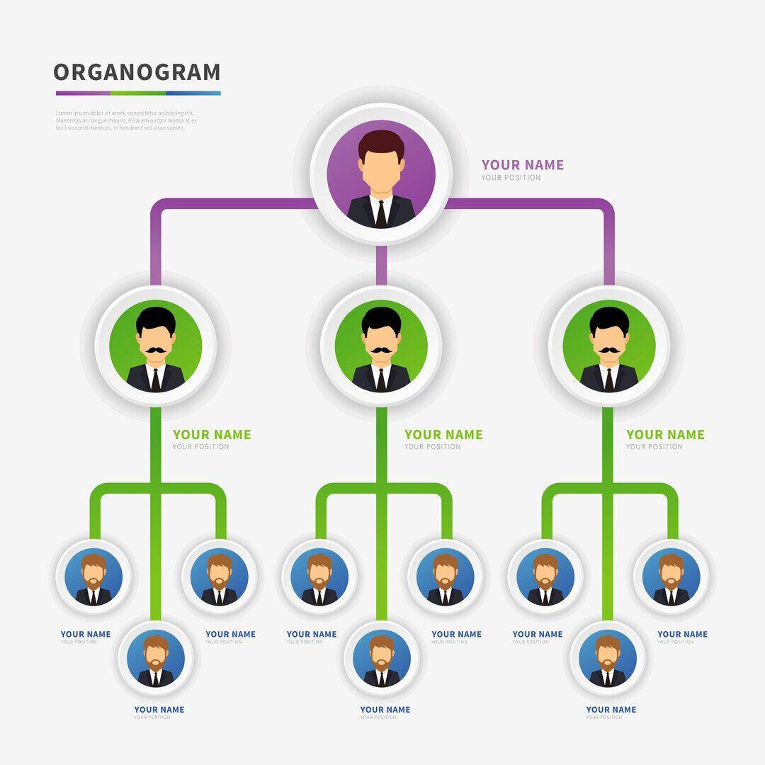 Organogram
