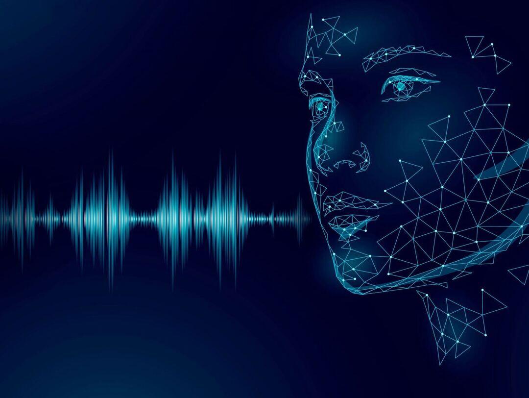 Voice bots